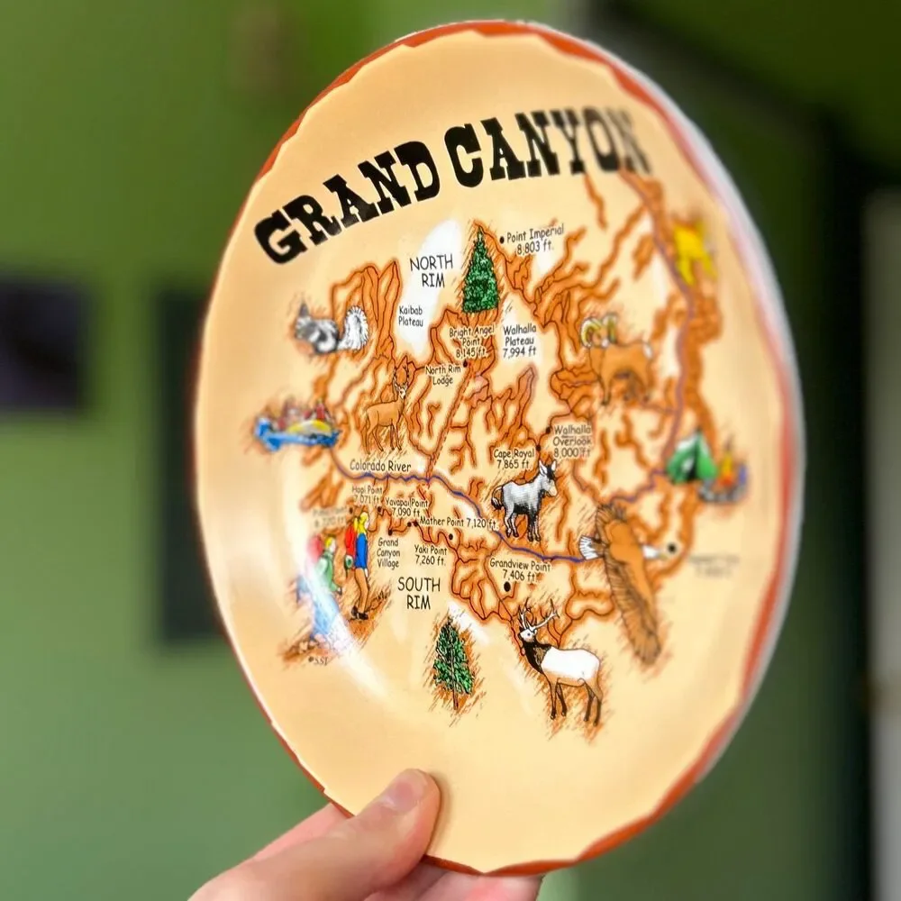 VTG Grand Canyon American Landmark Motif Round Bowl Wall Accent